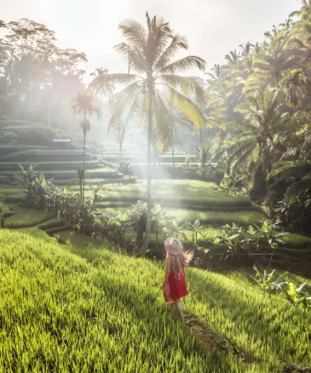 Packages - Bali Tour 2
