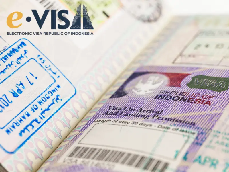 Services - E-Visa
