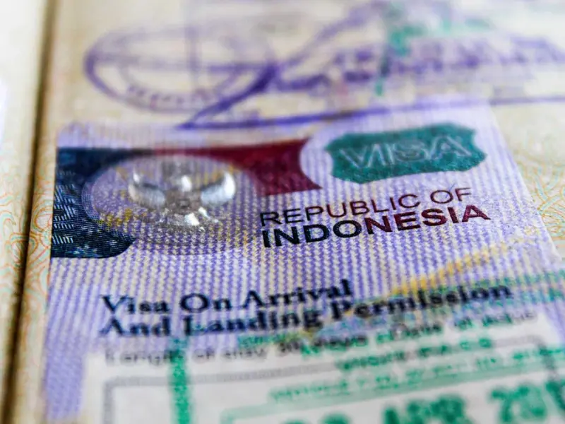 Services KITAS